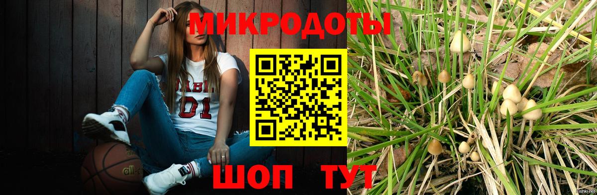 Псилоцибиновые грибы Cubensis Нижний Тагил