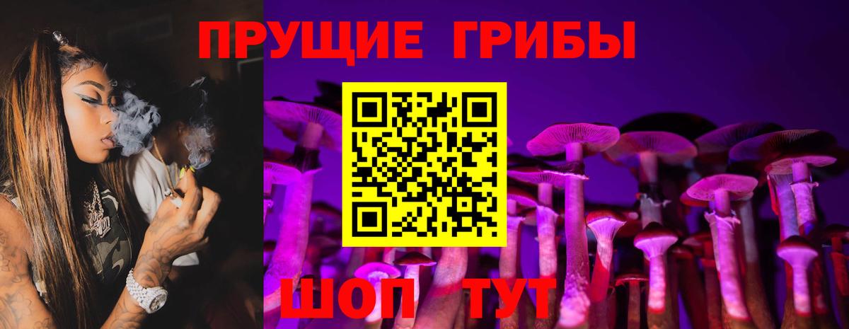 Галлюциногенные грибы GOLDEN TEACHER  Вход с VPN  Нижний Тагил  Псилоцибиновые грибы Cubensis 